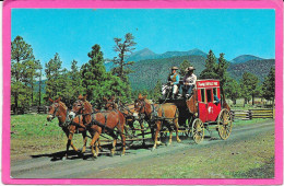 INDIENS - Buffalo Park, Arizona - Stagecoach Ride - Indiens D'Amérique Du Nord