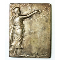 Médaille Plaque  Bronze Argenté Attribué, Par RASUMNY - Professionals / Firms