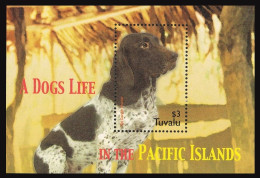 Tuvalu 964,MNH. Dogs 2005.Old Danish Pointer. - Tuvalu
