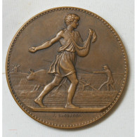 Médaille Agriculture D' Alais Et Cevennes Par Lagrange - Professionnels / De Société