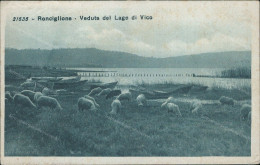 Cs456 Cartolina Ronciglione Veduta Del Lago Di Vico Provincia Di Viterbo - Viterbo