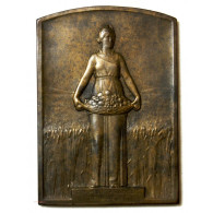 Médaille Plaque Bronze, Comptoir De L' Azote Attribué - Professionnels / De Société