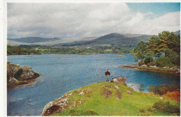 150-  Glengarriff, Harbour, Co Cork - Cork