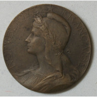 Médaille Bronze Agriculte Par Abel La Fleur 36mm - Profesionales / De Sociedad
