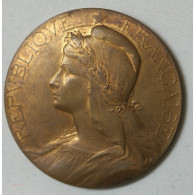 Médaille Bronze Dorée, Agriculte Par Abel La Fleur 46mm - Professionals / Firms