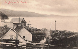 La Baie De St Irenee - Altri & Non Classificati