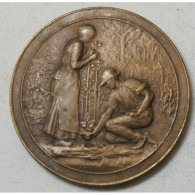 Médaille Bronze Jardiner Par A.DESAIDE. EDIT Décernée - Profesionales / De Sociedad