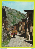 ANDORRE Valls D'Andorra Canillo N°109 Vista Parcial Vieille Rue Pittoresque APA ANDORRA  Ane VOIR DOS En 1981 - Andorre