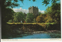 152-  Blarney Castle , Cork - Cork