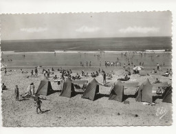 40     LANDES   HOUSSEGOR  LA  BAIGNADE  A  SA  MAGNIFIQUE  PLAGE - Hossegor