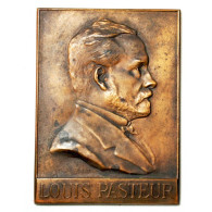 Médaille Plaque Louis Pasteur Exposition Strasbourg 1923 - Professionnels/De Société