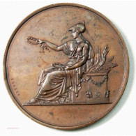 Médaille Ville De Paris, Enseignement Du Dessin Attribuée En 1875. Par BRENET - Professionali/Di Società