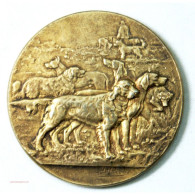 Médaille Argent Canine  Lyon 1905 Par RIVES - Professionals/Firms