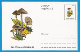 Entier Postal Neuf Roumain édition Luxe Glacé Brillant N° 089 Série 891/1000 Champignon  Mushroom Champignons Pilze - Pilze