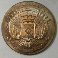 Médaille Congrès De Paris 1875, Topographie De France Bronze 60grs - Firma's