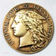 Médaille Argent AGRICULTURE Du LARZAC 1885 Par H. PONSCARME - Profesionales/De Sociedad