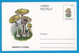 Entier Postal Neuf Roumain édition Luxe Glacé Brillant N° 082 Série 891/1000 Champignon  Mushroom Champignons Pilze - Paddestoelen