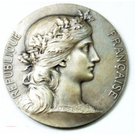 Médaille Argent Des Beaux Arts, Décernée En 1937 Sur Tranche Par Daniel Dupuis - Profesionales/De Sociedad