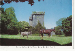 156 -  Barney Castle And The Barney Stone - Cork - Cork
