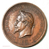 Médaille Visite De Napoléon III à Lille En 1867 Par J.C. Chaplain (5) - Profesionales/De Sociedad