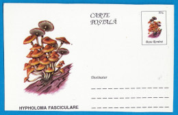 Entier Postal Neuf Roumain édition Luxe Glacé Brillant N° 091 Série 891/1000 Champignon  Mushroom Champignons Pilze - Mushrooms