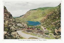 157 - In The Gap Of Dunloe, Killarney, Co. Kerry - Kerry