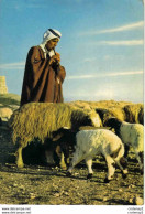 JORDANIE A Shepherd Jordan Berger Moutons Chèvres VOIR DOS En 1966 Timbre Holy Views Jerusalem - Jordanien
