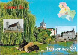 89 FOURONNES - 3 Petits Chatons - 3 Vues - Carte Géo Du 89 - Cpm - Vierge - - Sonstige & Ohne Zuordnung