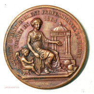 Médaille Sté D'enseignement Professionnel Du Rhone 1902 - Professionals/Firms