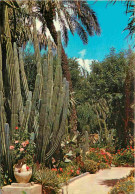 Fleurs - Plantes - Cactus - Maroc - Marrakech - Jardin Exotique Du Peintre Majorelle - CPM - Voir Scans Recto-Verso - Cactusses