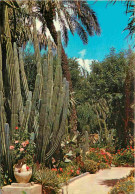 Fleurs - Plantes - Cactus - Maroc - Marrakech - Jardin Exotique Du Peintre Majorelle - CPM - Voir Scans Recto-Verso - Cactus