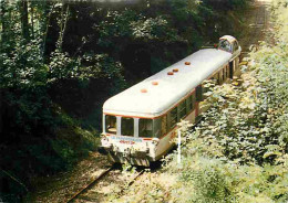 Trains - Le Train Touristique Montargis Toucy Les Etangs De Moutiers - Autorail X 89 3871 à Douchy - CPM - Voir Scans Re - Trains