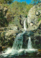 48 - Lozère - Environs De Marvejols - La Cascade Du Rigourdel - CPM - Voir Scans Recto-Verso - Autres & Non Classés