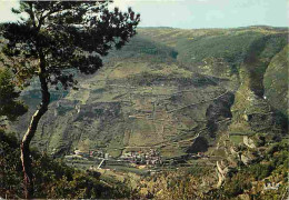 48 - Les Gorges Du Tarn - Les Vignes - Les Lacets Sur La Route Du Point Sublime - CPM - Voir Scans Recto-Verso - Gorges Du Tarn