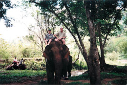 Animaux - Eléphants - Souvenir De Balade à Dos D'éléphant - Photographie Kodak - Voir Scans Recto-Verso - Olifanten