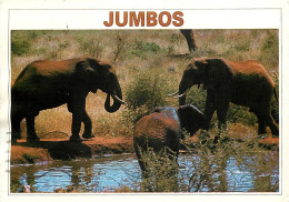 Animaux - Eléphants - Kenya - éléphanteau - Afrique Noire - CPM - Voir Scans Recto-Verso - Éléphants