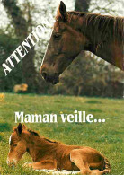 Animaux - Chevaux - Jument Et Son Poulain - Voir Scans Recto Verso  - Cavalli