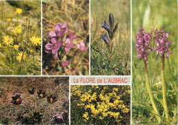 12 - Aveyron - Flore De L'Aubrac - Multivues - Fleurs - CPM - Voir Scans Recto-Verso - Altri & Non Classificati