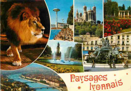 Animaux - Fauves - Lion - Paysages Lyonnais - Multivues - CPM - Voir Scans Recto-Verso - Leones