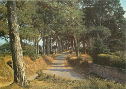 56 - Ile De Berder - En Larmor Baden - Etablissement Saint Joseph - CPM - Voir Scans Recto-Verso - Autres & Non Classés