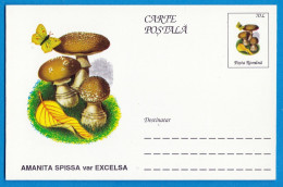 Entier Postal Neuf Roumain édition Luxe Glacé Brillant N° 083 Série 891/1000 Champignon  Mushroom Champignons Pilze - Paddestoelen