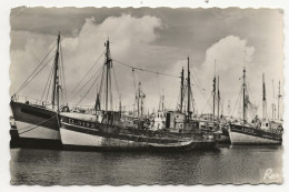 56  ETEL         A  ETEL  BATEAUX DE  PECHE  AU  MOUILLAGE - Etel