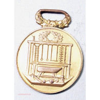 Medaille Athlétisme Ville D'Aubervilliers  1883-1884 - Profesionales/De Sociedad