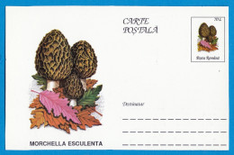 Entier Postal Neuf Roumain édition Luxe Glacé Brillant N° 093 Série 891/1000 Champignon  Mushroom Champignons Pilze - Funghi