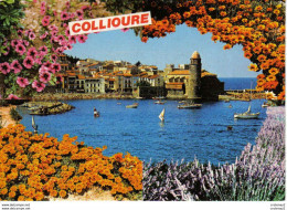 66 COLLIOURE N°338 Eglise ND Des Anges La Baie Planches à Voile Voilier Fleurs VOIR DOS éditions Larrey - Collioure