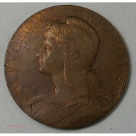 Médaille Bronze , Agriculture Par Abel La Fleur 46mm - Professionals/Firms