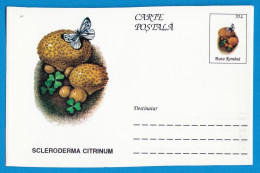 Entier Postal Neuf Roumain édition Luxe Glacé Brillant N° 098 Série 891/1000 Champignon  Mushroom Champignons Pilze - Pilze