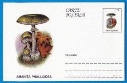 Entier Postal Neuf Roumain édition Luxe Glacé Brillant N° 080 Série 891/1000 Champignon  Mushroom Champignons Pilze - Funghi