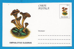 Entier Postal Neuf Roumain édition Luxe Glacé Brillant N° 095 Série 891/1000 Champignon  Mushroom Champignons Pilze - Paddestoelen