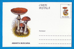 Entier Postal Neuf Roumain édition Luxe Glacé Brillant N° 081 Série 891/1000 Champignon  Mushroom Champignons Pilze - Paddestoelen